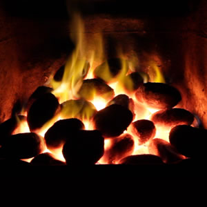 Coal & Solid Fuels